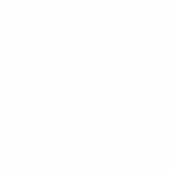 4.gif
