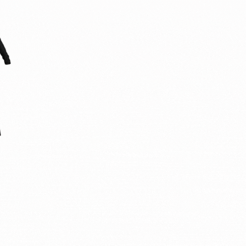 4.gif
